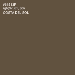 #61513F - Costa Del Sol Color Image